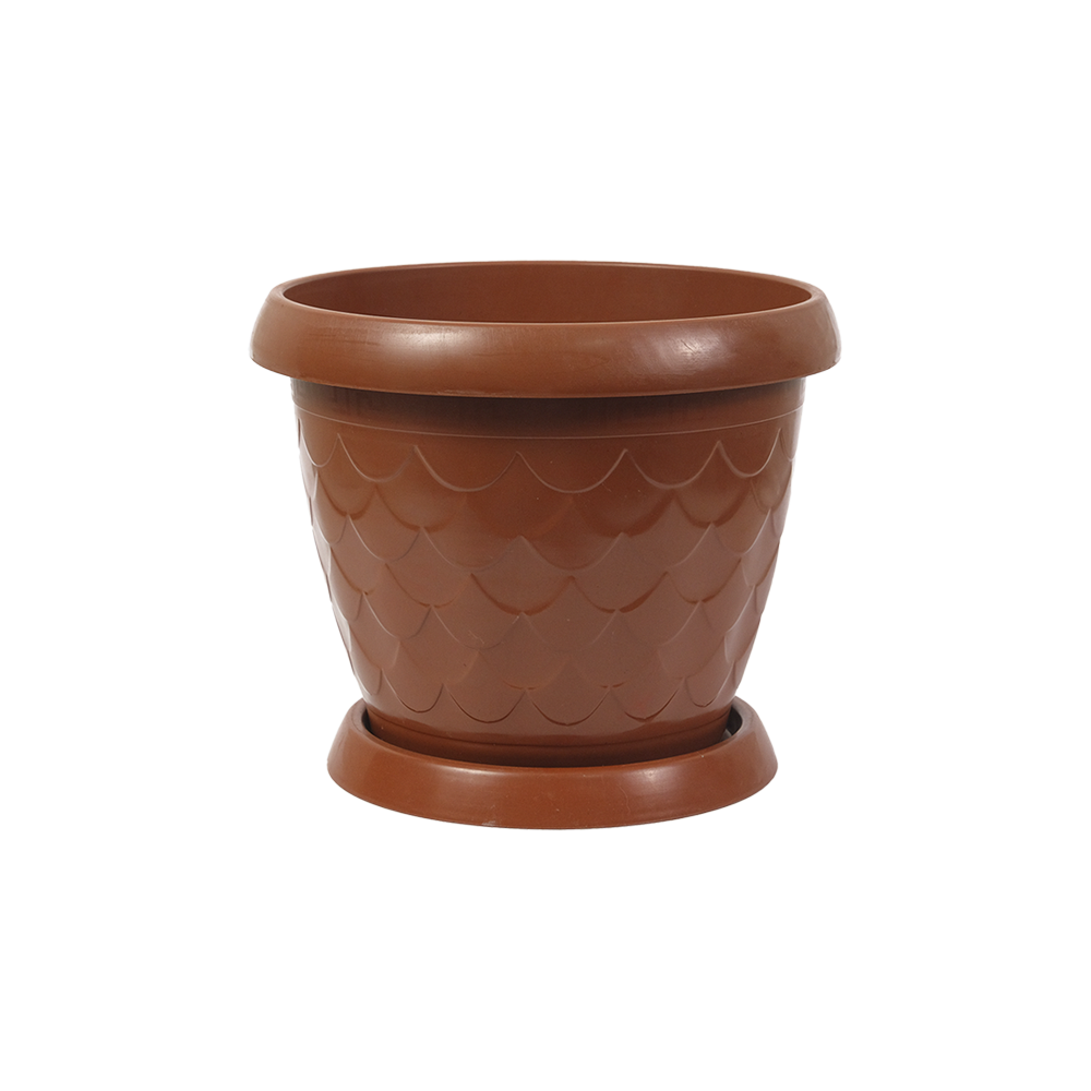 Gul tuvak "Sazan" C1