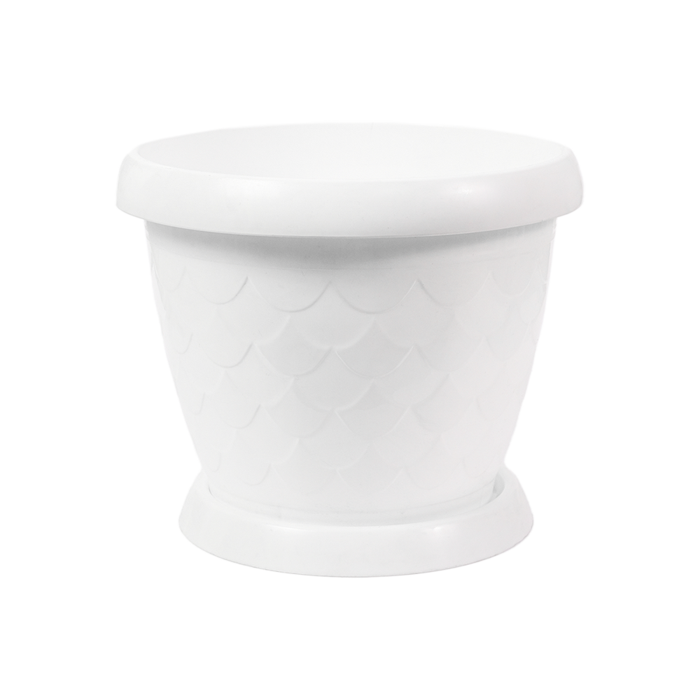 Gul tuvak "sazan white" C1