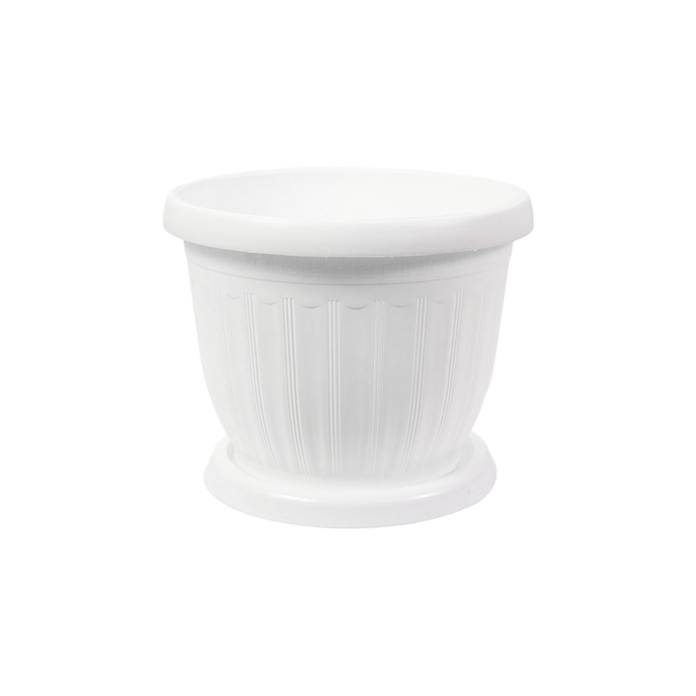 Gul tuvak "Versace New white" F1